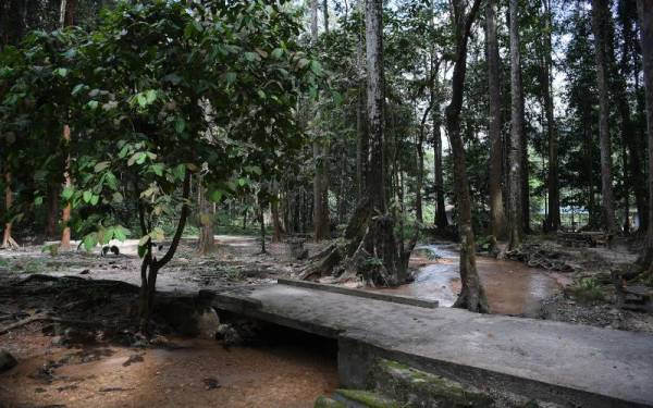 Taman komanwel resort eko rimba Commonwealth Forest