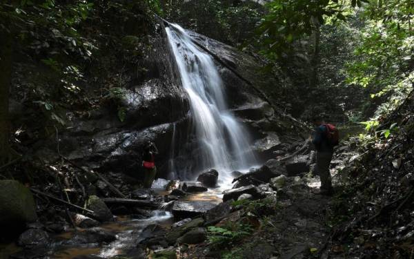 Ibarat berada di pelosok hutan belantara, itulah perasaan yang boleh digambarkan saat melangkah masuk ke Taman Eko Rimba Komanwel - Foto Bernama