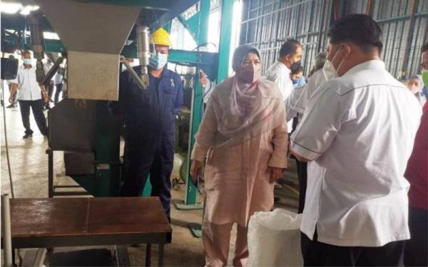 Zuraida meninjau pemprosesan biji benih kenaf ketika melawat Pusat Pemprosesan Biji Benih Kenaf di Bandar Darulaman pada Sabtu.