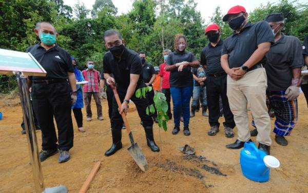 Takiyuddin menanam Pokok Merbau pada program penanaman pokok sempena Program Penghijauan Malaysia bersama Komuniti Kampung Chandek Kura, Mukim Kedawang di Hutan Simpan Bukit Malut, pada Ahad. - Foto Bernama 