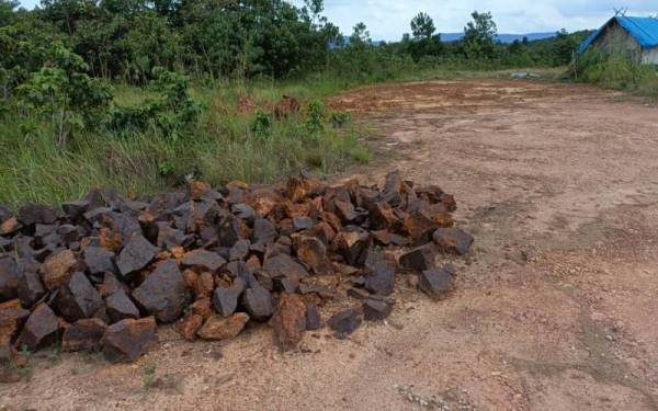 Antara longgokan bijih besi yang ditemui di kawasan Hutan Simpan Papai dalam pemeriksaan yang diadakan pada Ahad. Foto: Ihsan JPNP