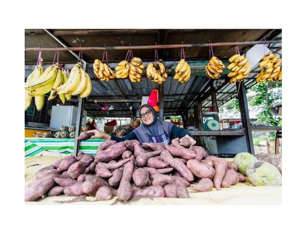 Sektor pertanian yang mampan memberi saingan yang positif kepada golongan petani dan peniaga.