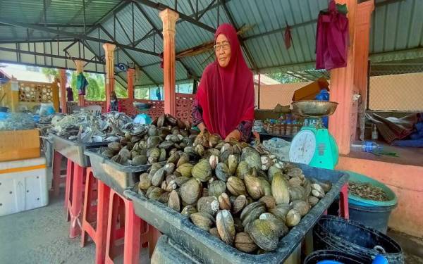 Nik Ramlah hanya mampu berputih mata apabila barangan jualan langsung melibatkan kerang-kerangan tidak dibeli.