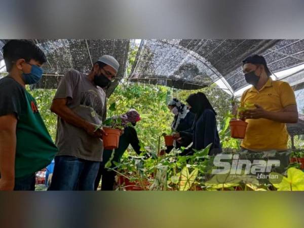 Mohd Riban (kanan) memberikan penerangan tentang jenis-jenis pokok hiasan dan harga keladi kepada pelanggan yang singgah di nurserinya di Kampung Barokas, Kuala Nerang pada Rabu.