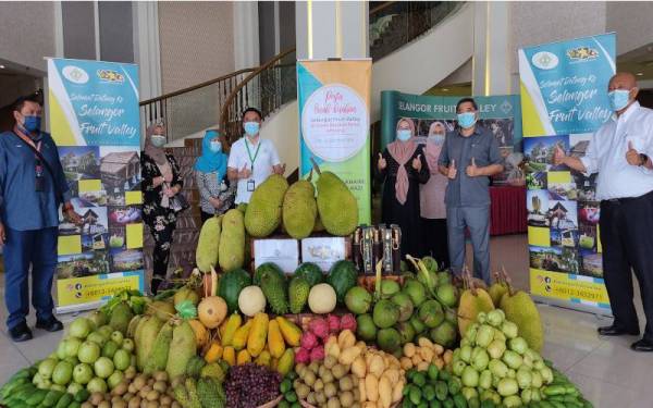 Razali (dua dari kanan) ketika merasmikan Pesta Buah-buahan Selangor Fruit Valley di Grand Barakah Hotel, Ampang pada Jumaat.