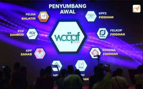 Waqaf Felda akan dilaksanakan menggunakan konsep wakaf korporat dengan memperuntukkan dana sumbangan pewakaf untuk dilaburkan dalam pelbagai bentuk perniagaan.