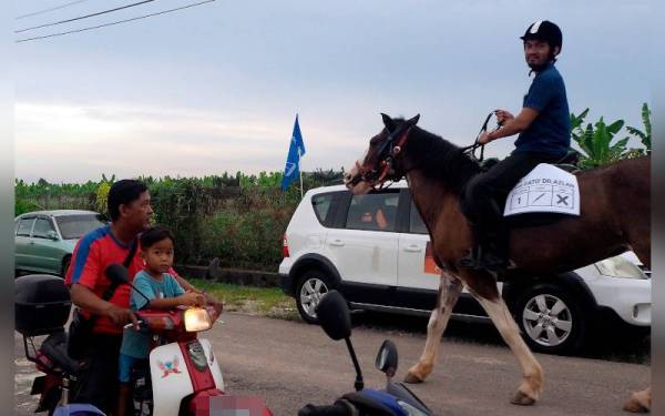 Calon Bebas Dewan Undangan Negeri (DUN) Serkam, Datuk Norazlanshah Hazali menunggang kuda bernama Sandy untuk bersiar-siar di sekitar Kampung untuk memperkenalkan diri kepada para pengundi dengan cara tersendiri di Paya Tanjung, hari ini. - Foto Bernama