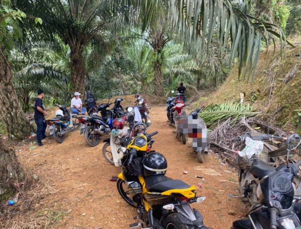 Operasi turut menyita beberapa jenis kenderaan dalam Op Sarang Khas Bersepadu dijalankan di seluruh negeri ini sejak Ahad lalu.