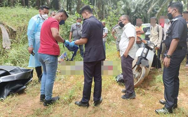 Mayat lelaki ditemui terbaring di tepi jalan dekat Ladang Sawit TSK Kuala Kuang, Kupang, Baling. Foto PDRM.