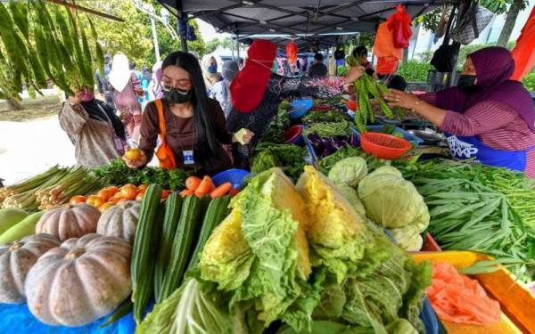 Antara jenis sayuran yang mengalami kenaikan harga ialah kubis bunga, brokoli, sawi pendek, kubis, cili merah, cili hijau. Foto Bernama