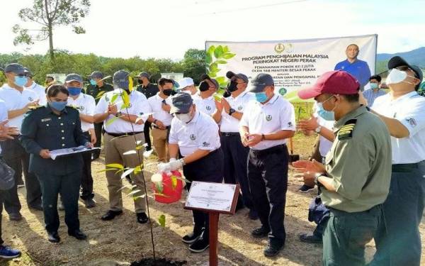 Saarani menanam pokok ke-2 juta pada Program Penghijauan Malaysia Peringkat Negeri Perak: Penanaman Pokok ke-2 juta oleh Menteri Besar Perak bersama Ketua-ketua Jabatan dan Pengamal Media di Kompleks Latihan Perhutanan Sungai Siput (U), di sini pada Ahad.