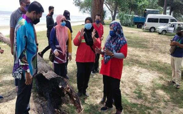 Hamdan meninjau pokok tumbang dengan kesan terbakar pada pangkalnya yang dikekalkan sementara sebagai 'tugu' peringatan di Pantai Sepat, Kuantan.