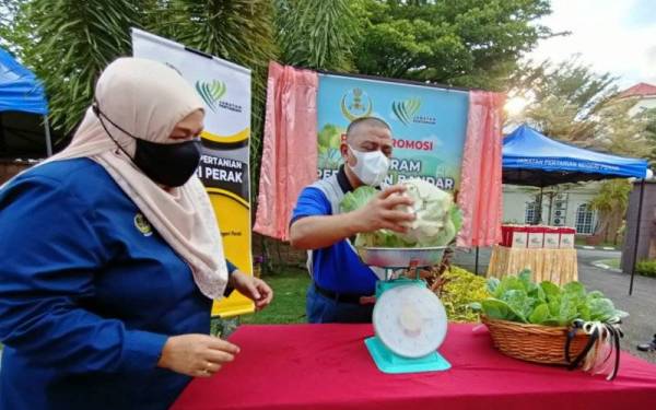 Saarani bersama Norsiyenti menimbang hasil tuaian sayur kubis tanah rendah dan kailan dari Petak Promosi Kebun Kita (Pertanian Bandar) di Kediaman Rasmi Menteri Besar Perak di sini pada Selasa.