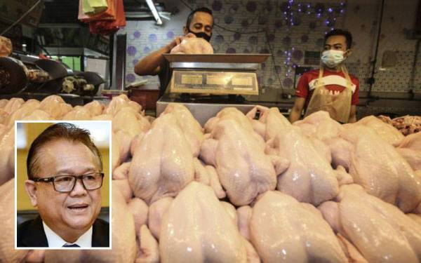 KPDNHEP akan menetapkan harga maksimum ayam di peringkat pemborong dalam masa beberapa hari lagi sebelum menetapkan harga itu di peringkat peruncit. Gambar kecil: Alexander Nanta Linggi