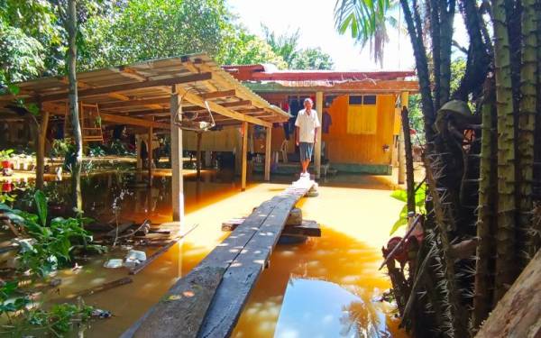 Titi kayu menjadi alat penghubung utama di Kampung Tersang, Rantau Panjang selepas kawasan rumah mereka mula ditenggelami banjir sejak Khamis.