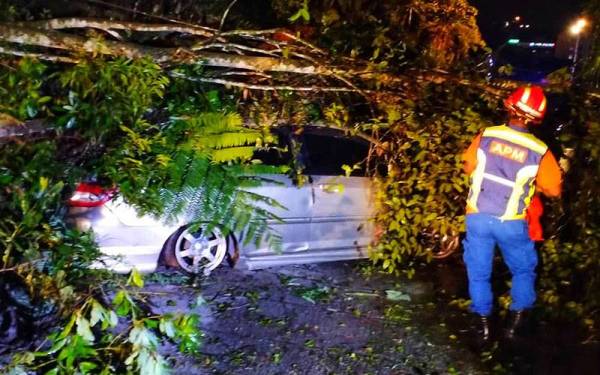 Anggota APM mengalihkan runtuhan bagi mengeluarkan dua buah kenderaan yang terperangkap di Jalan Sultan Abu Bakar dekat Brinchang, Cameron Highlands pada Sabtu. - Foto ihsan APM