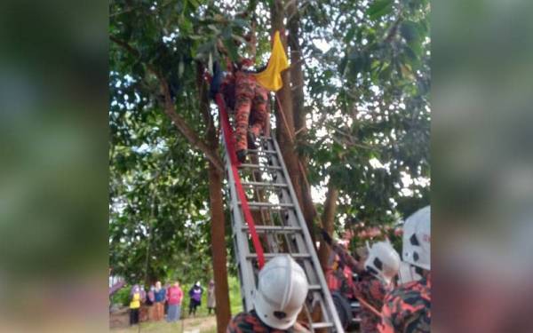 Operasi menyelamat mangsa dilakukan berhati-hati oleh pihak bomba yang terlibat.