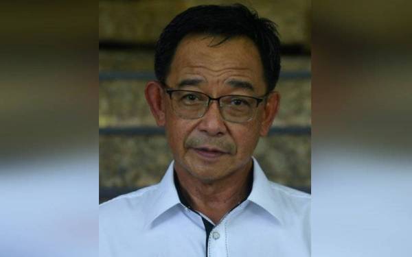 Abdul Karim Rahman Hamzah - Foto Bernama