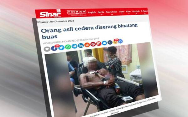 Seorang lelaki orang asli cedera diserang binatang buas dipercayai beruang dalam kejadian di Kampung Kelatap, Pos Perwor di sini pada Rabu.