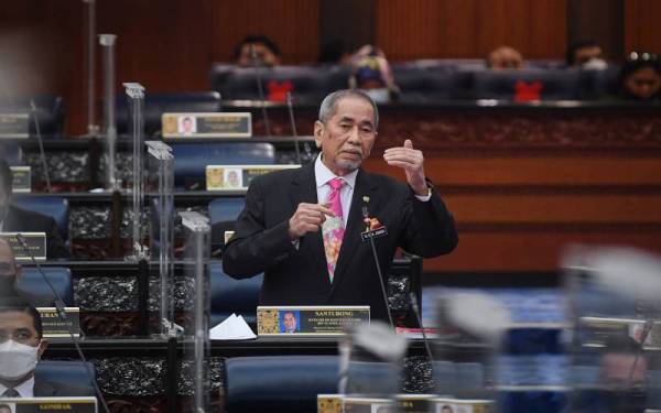 Datuk Seri Dr Wan Junaidi Tuanku Jaafar berucap ketika menggulungkan Rang Undang-Undang Perlembagaan pada sidang Dewan Rakyat di Bangunan Parlimen pada Selasa. - Foto Bernama