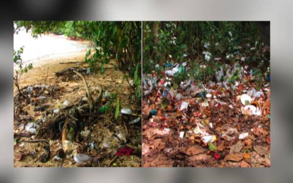 Pembuangan sampah tidak terkawal boleh menjejaskan kebersihan Pulau Sayak. (Gambar kanan) Pembuangan sampah merata-rata di lokasi perkelahan berisiko menjadi sarang pembiakan nyamuk dan tikus.