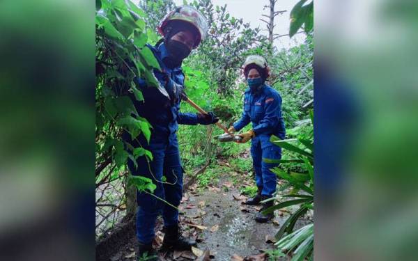 Faizilawati (kiri) dan Nur Alia Humairah 'menangkap' ular plastik yang diletakkan di atas pagar kebun selepas APM Taiping menerima panggilan kecemasan mengenai kejadian tersebut pada Selasa.