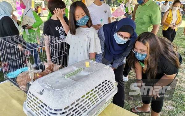 Nolee Ashilin (dua dari kanan) melihat kucing-kucing yang ditempatkan sempena Festival Kucing Jalanan 2021 di Cengkerik Eco Park, The Treasure @ Taman Herba pada Ahad.