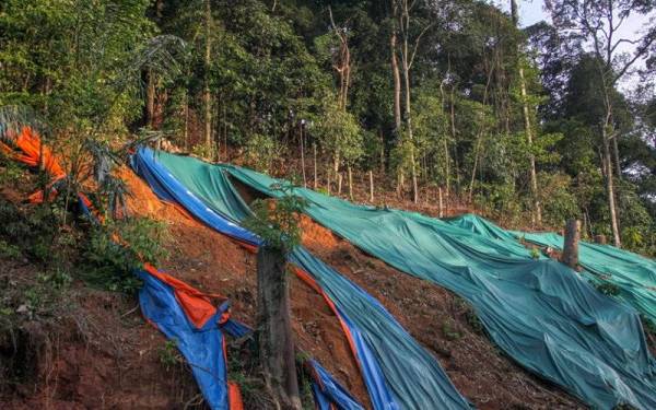 Bilik Gerakan Bencana Jabatan Kerja Raya melaporkan kejadian bencana di 52 lokasi melibatkan cerun runtuh, jalan runtuh, jalan mendap, jambatan rosak atau runtuh. - Foto 123rf