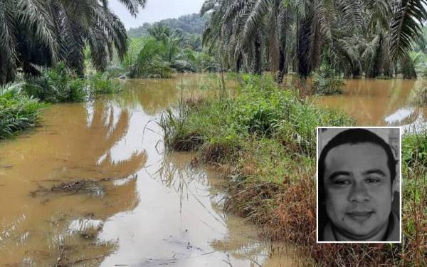 Lokasi kejadian di ladang sawit yang dinaiki air, dekat Ladang Rakyat Mak Lagam, di Kemaman pada Sabtu. Gambar kecil: Saiful Anuar