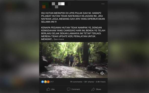 Tangkap layar video tentang isu pembalakan di Hutan Merapoh yang tular di sebuah akaun Facebook hingga meraih perhatian warganet.