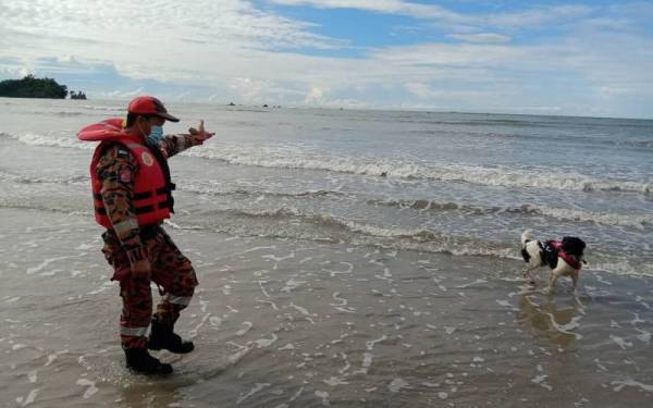 Unit K9 anjing pengesan turut berada di lokasi untuk operasi SAR mangsa dikhuatiri lemas di Kampung Lambidan, Kuala Penyu.