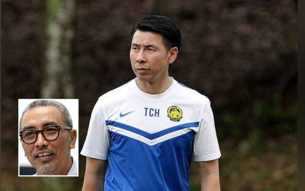 Tan Cheng Hoe - Foto Bernama, gambar kecil: Yusoff Mahadi