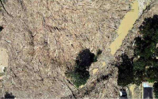 Kayu terapung dan hanyut di Sungai Telemong, Bentong, Pahang akibat kejadian banjir pada 18 Disember lalu.