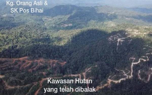 Imej kesan daripada aktiviti pembalakan hutan dirakam dron didakwa sebagai habitat harimau di Gua Musang. 