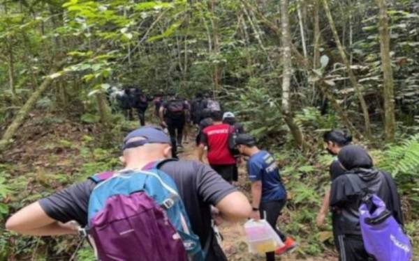 Aktiviti pelancongan pendakian di dalam Hutan Simpanan Kekal di negeri Selangor dibenarkan semula selepas tempoh larangan berakhir pada 31 Januari ini.