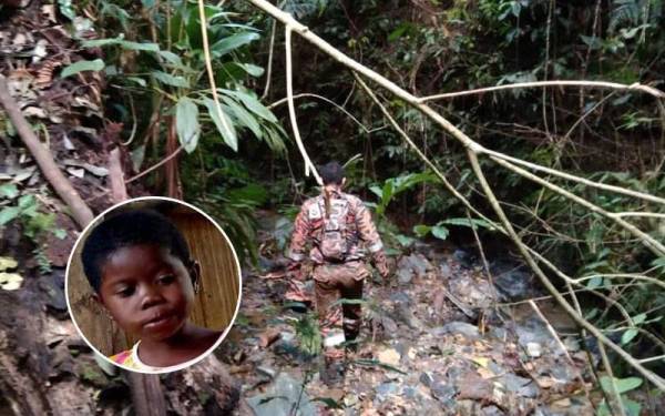 Anggota bomba menyelusuri kawasan Hutan Temengor untuk mencari mangsa kanak-kanak orang asli yang hilang sejak Khamis lalu. Foto: ihsan Bomba, gambar kecil: Kamaliah Anab. Foto: ihsan pembaca