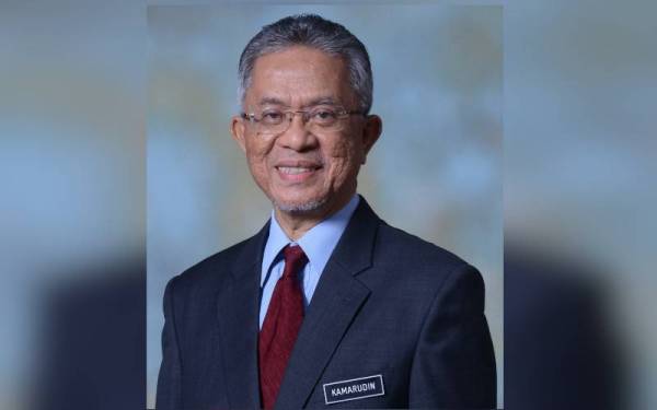 Kamarudin Jaffar - Gambar portal Kementerian Luar Negeri