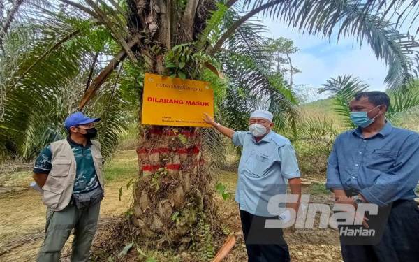 Abdul Khalim (tengah) menunjukkan papan tanda yang telah dipasang oleh JPNK berkait dengan penerokaan haram di Hutan Simpan Relai, Ladang Serasa, Gua Musang pada Isnin.