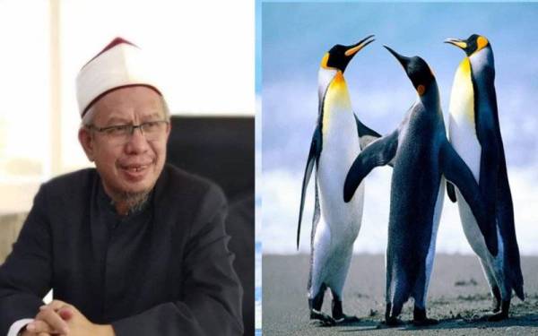  Datuk Seri Dr Zulkifli Mohamad Al-Bakri berpendapat bahawa daging penguin halal untuk dimakan kerana haiwan itu termasuk dalam kategori burung air.