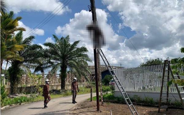 Mangsa maut selepas dipercayai terkena renjatan elektrik ketika melakukan kerja penyelenggaraan di Jalan Bunga Raya berhampiran Taman Eastern, Tawau.