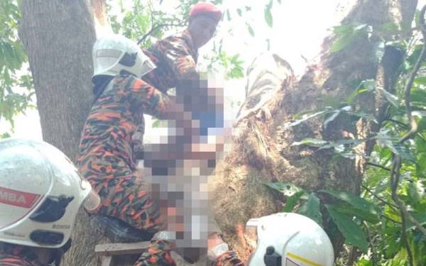 Anggota bomba membawa mangsa turun selepas berjaya mengalihkan batang pokok yang menghempapnya di Kuala Dipang. - Foto ihsan Bomba Perak