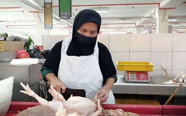 Bekalan ayam terhad menjejaskan operasi jualan apabila stok diterima sekadar cukup buat pelanggan yang membuat tempahan awal.