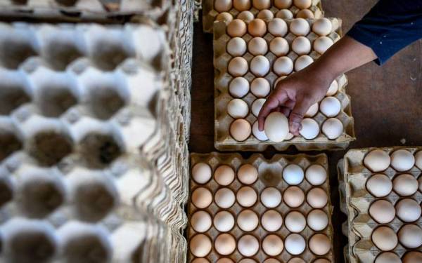 Pekerja dilihat menyusun telur ayam selepas kehabisan stok di sebuah pasar raya Kuala Terengganu. - Gambar hiasan