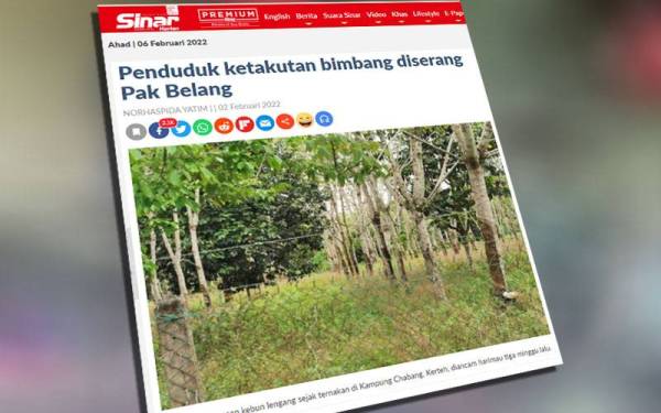 Laporan Sinar Harian.