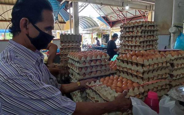 Pengerusi Pasar Besar Alor Setar, Mohd Fauzi Sharip memeriksa bekalan telur ayam yang baru diperolehi di Pasar Besar Alor Setar, di sini, pada Ahad.