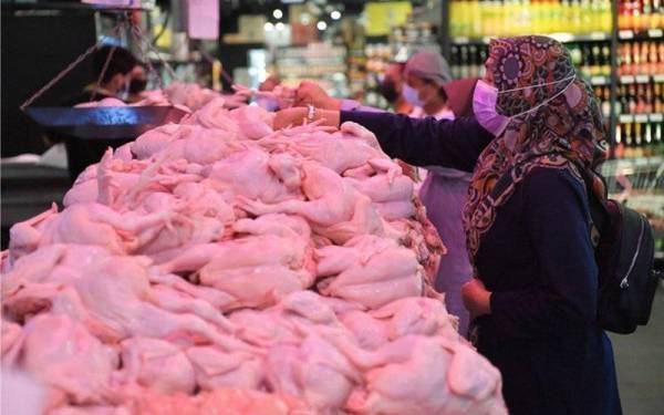 Perak tidak berhasrat mengikut tindakan kerajaan Selangor yang menetapkan harga siling runcit ayam standard pada RM8 sekilogram. - Gambar hiasan