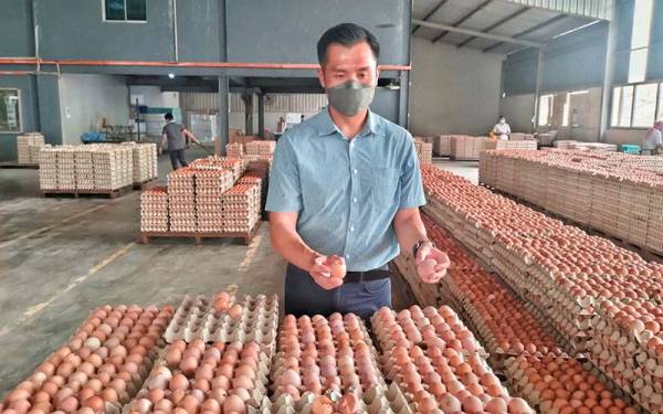 Yoon Yeau harap kerajaan percepatkan susbidi telur ayam.