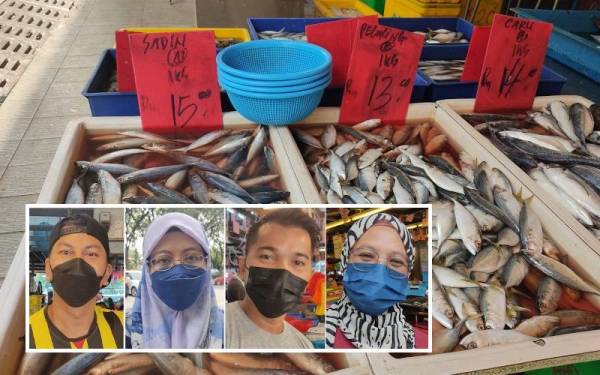 Ikan pelaling dan sardin antara 'ikan rakyat' yang mengalami peningkatan harga semasa Tahun Baharu Cina minggu lalu. (Gambar kecil: Ramlie, Rahmah, Hanafi, Melati)