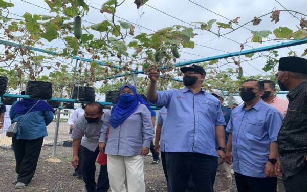 Noh (tiga dari kanan) melihat hasil tanaman yang diusahakan Koperasi Masjid Taman Impian Emas ketika lawatan kerjanya di tapak tanaman Koperasi Masjid Taman Impian Emas pada Sabtu