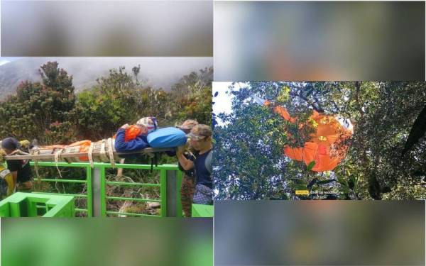 Lelaki yang melakukan aktiviti paragliding tersangkut di atas pokok diselamatkan pasukan bomba. - Foto Bomba